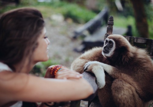 femme-brune-singe-mignon-regard-partage