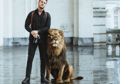 lion-photographe-protection-ville-animal